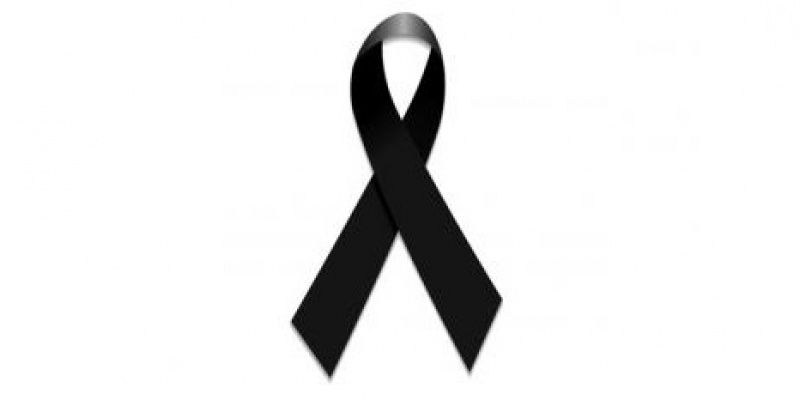 Articolo
