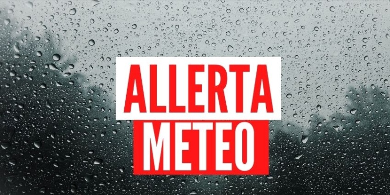 Articolo